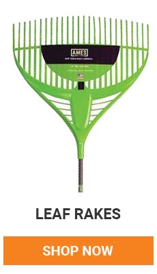 Leaves are starting to fall. Time to get raking. Shop Now.