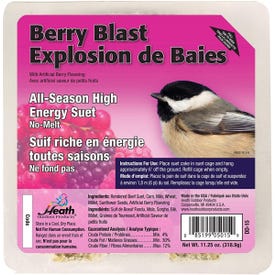 HEATH DD-15 All-Season Suet Cake, Berry Flavor, 11.25 oz