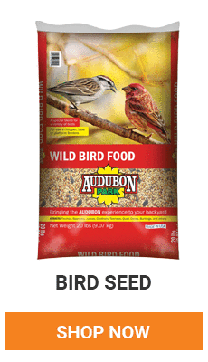 Make sure you feed your feathered friends this winter. We have a variety of food to choose from. Shop Now.