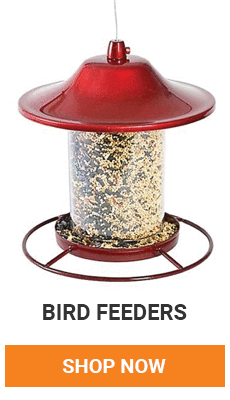 We have a great supply of bird feeders to choose from. Shop now.
