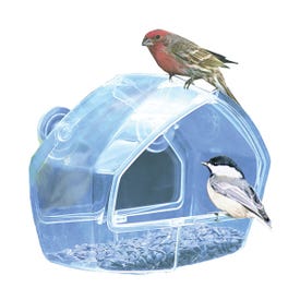 Perky-Pet 348 Window Feeder, 8 oz, Plastic, Clear, 7.78 in H