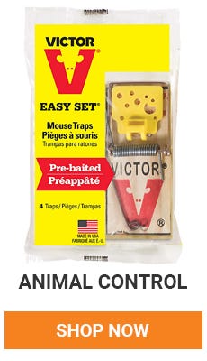 Get rid of those pesty critters. We have everything you need to get rid of unwanted house guest. Shop Now.