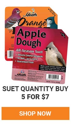 Quantity Buy on Select Suet. Buy 5 for 7 dollars. shop now.
