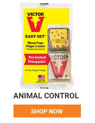 Have unwanted house guest? We have many animal control products to help you get rid of them. Shop Now.