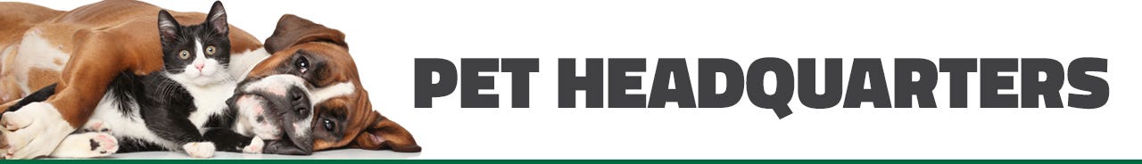 Your Pet Headquarters