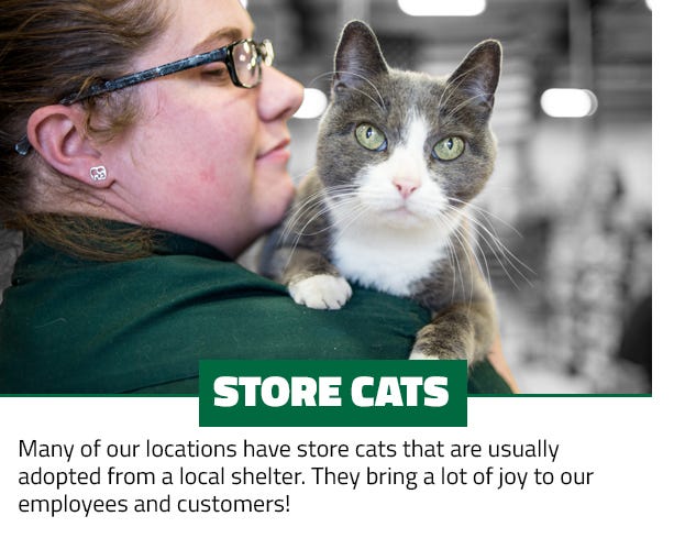 We have store Cats. Come by and check them out