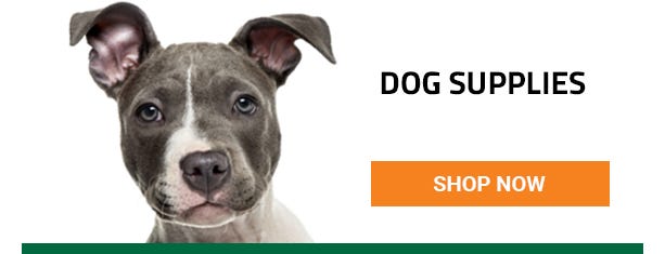 Get your dog supplies right here. Shop Now.